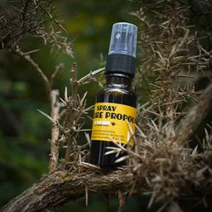 Teinture Propolis en spray