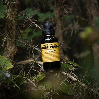 Teinture Propolis